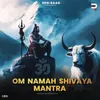 Om Namah Shivaya Mantra